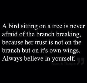 trust yourself, bird, branch, wings