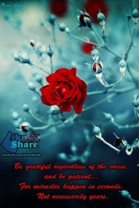 188983_10151478508729496_344954689_n