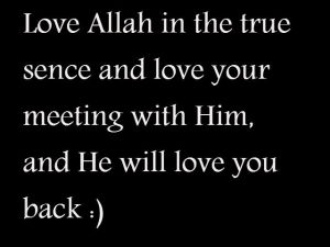 Love Allah