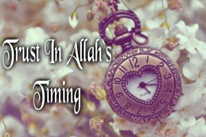 trust in allah s timing