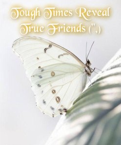 butterfly - tough times reveal true friends