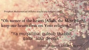 O turner of hearts, keep our heart firm on your religion, deen. Allah