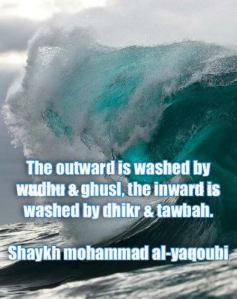 outward, inward, tazkiya, soul, dhikr, tawbah, ghusl, wudhu, sheikh mohammed yaqoubi