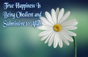 True happiness is being obedient and submissive to Allah, white flower