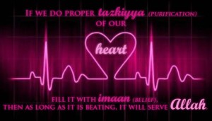 heartbeat Allah, tazkiya, purification of heart, serve Allah