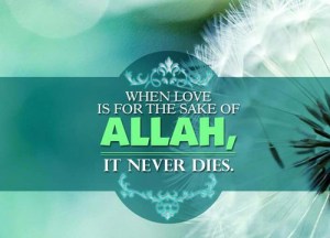 love for the sake of allah - 1