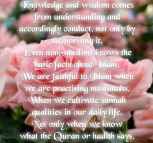rose, quality muslimah, islam, conduct, knowledge, wisdom, practice Islam, understand